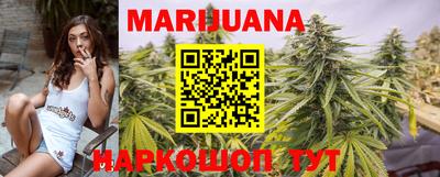 прущие крисы Камышлов