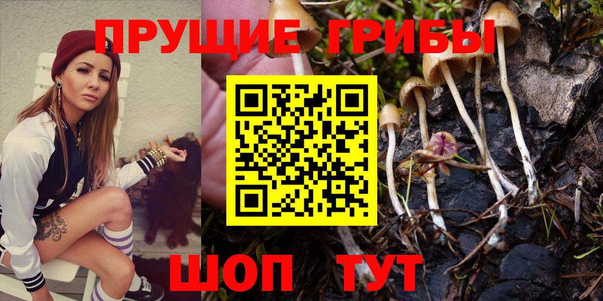 Галлюциногенные грибы GOLDEN TEACHER Кубинка